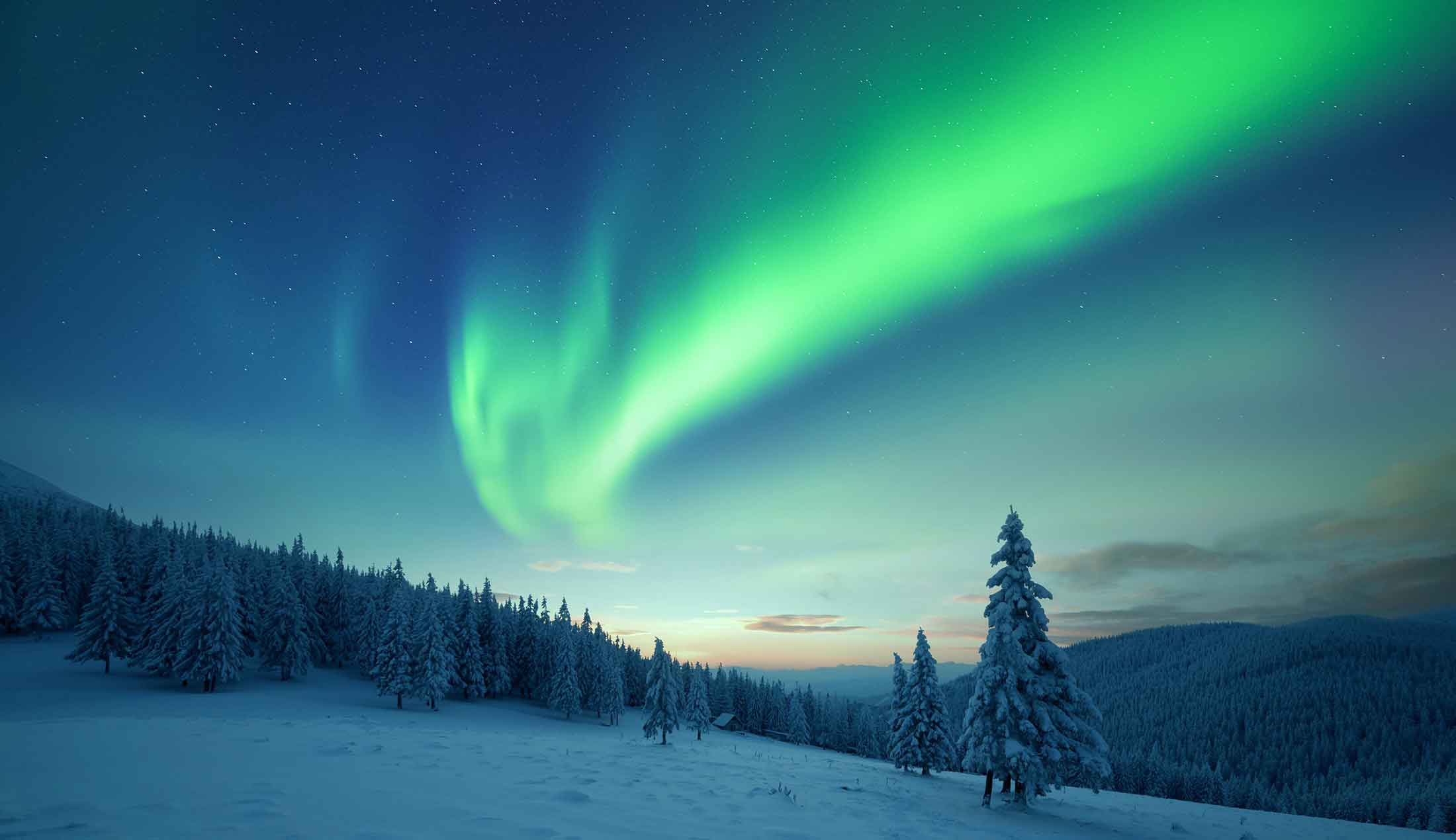 Northern lights above a snow-covered forest in the Scandinavian mountains.
