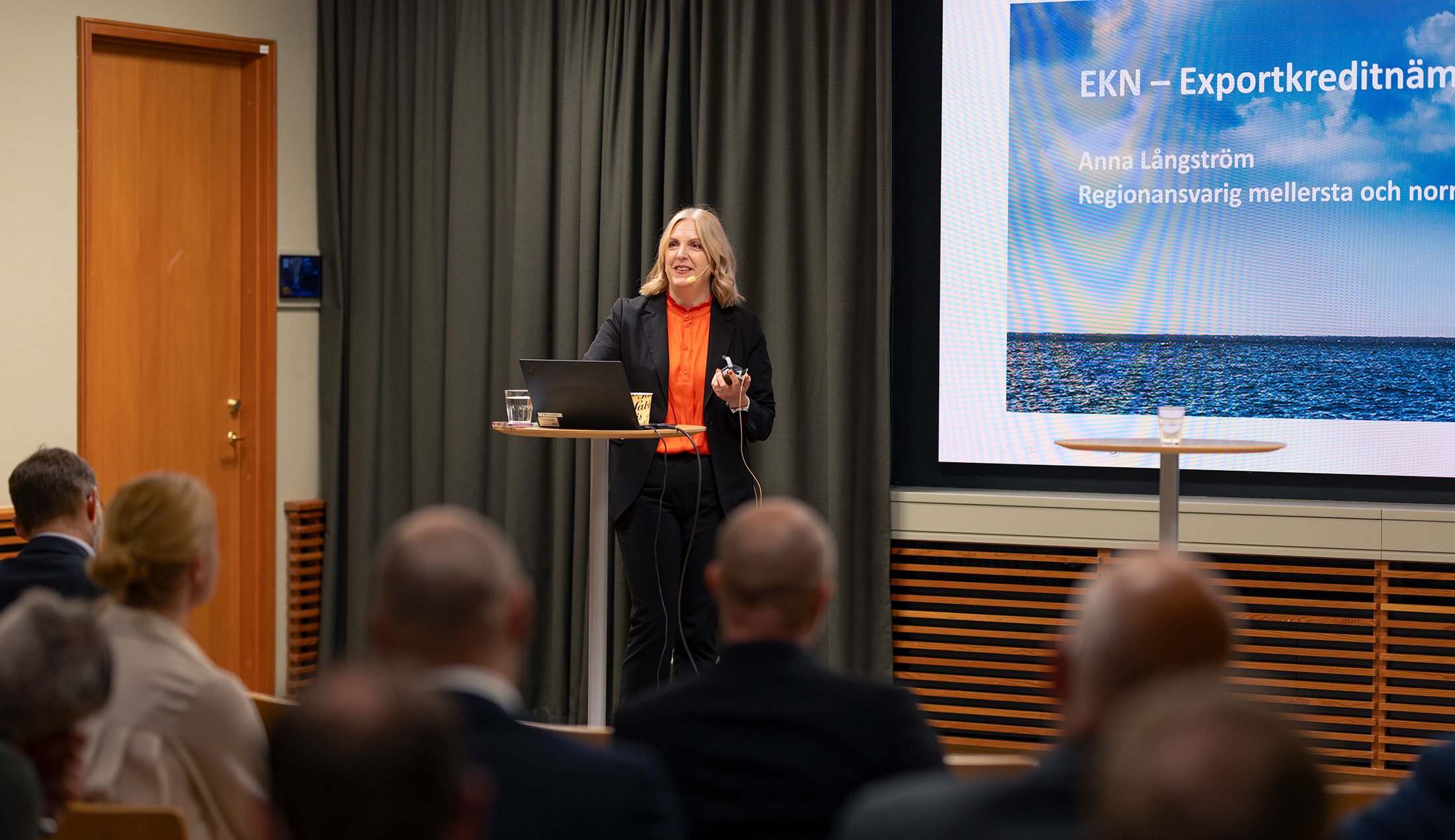 Anna Långström i talarstolen under SOFF:s seminarium