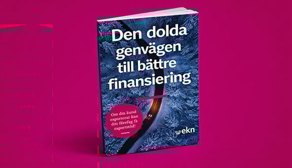 Faksimil av guiden "Den dolda genvägen till bättre finansiering"