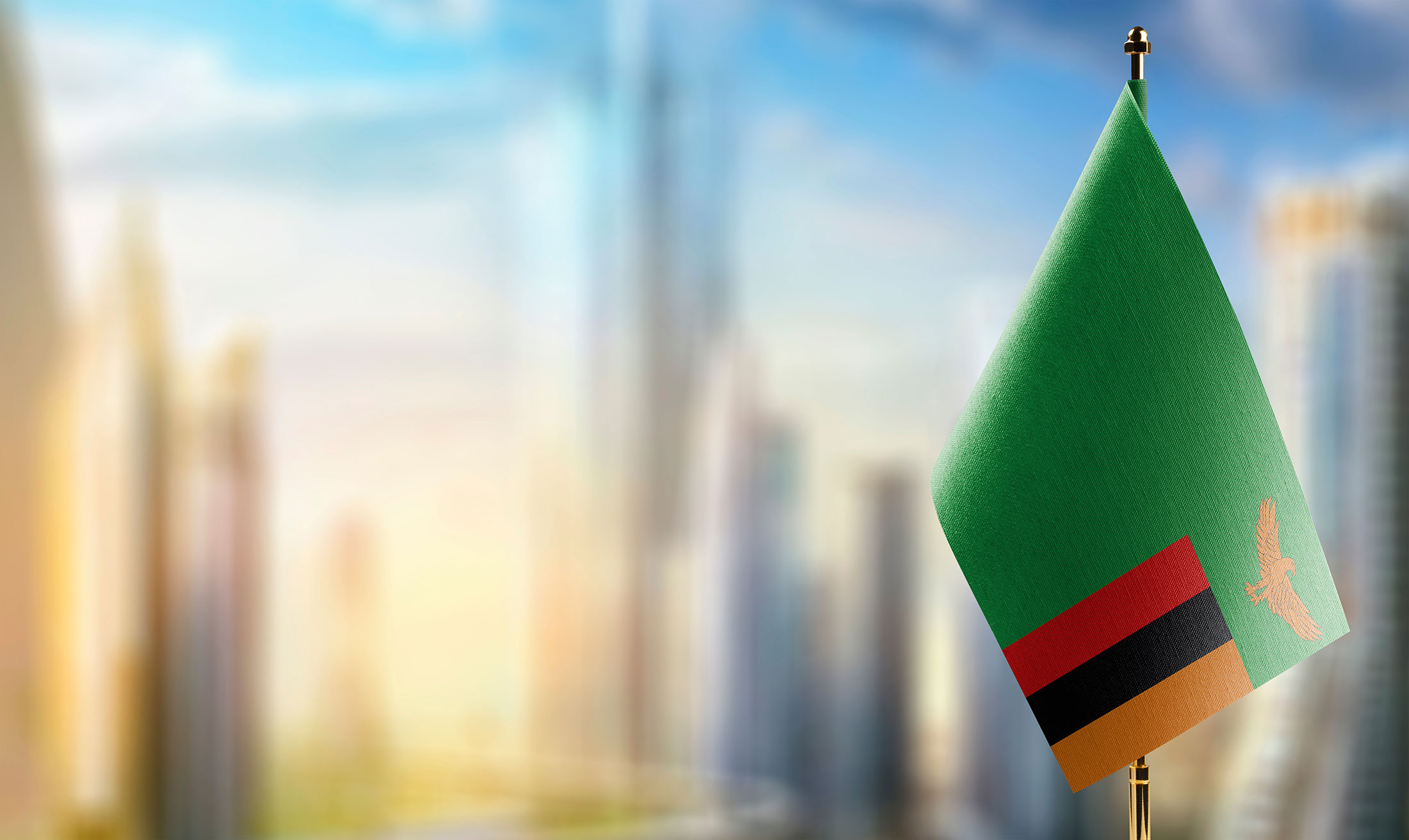 The Zambian flag