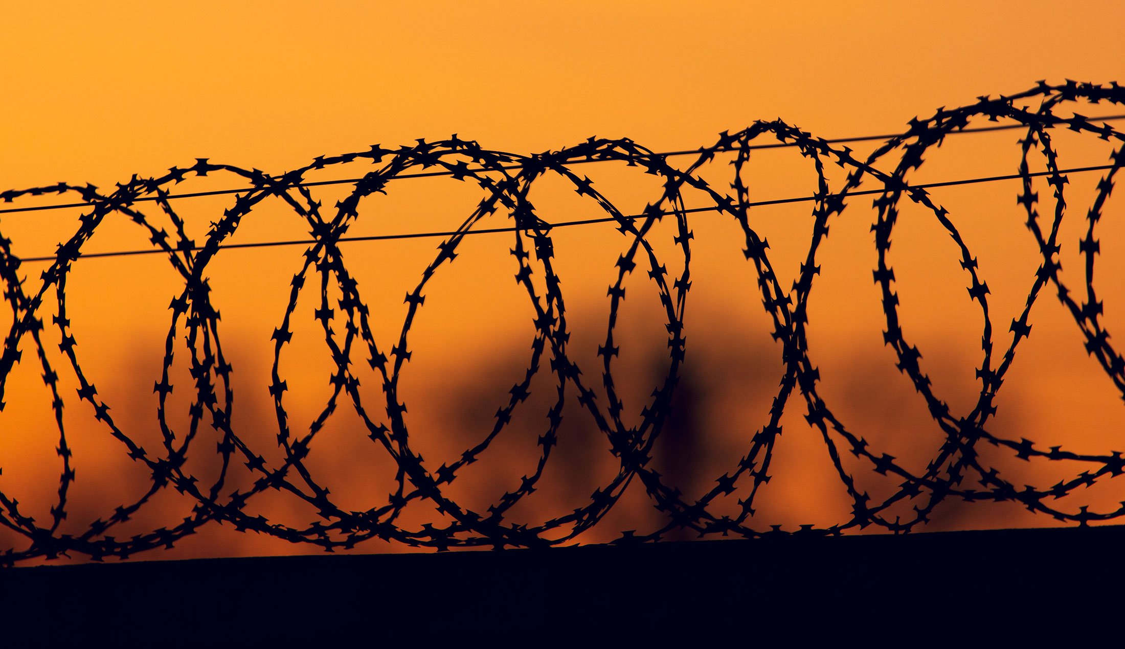 Barbed wire against sunset