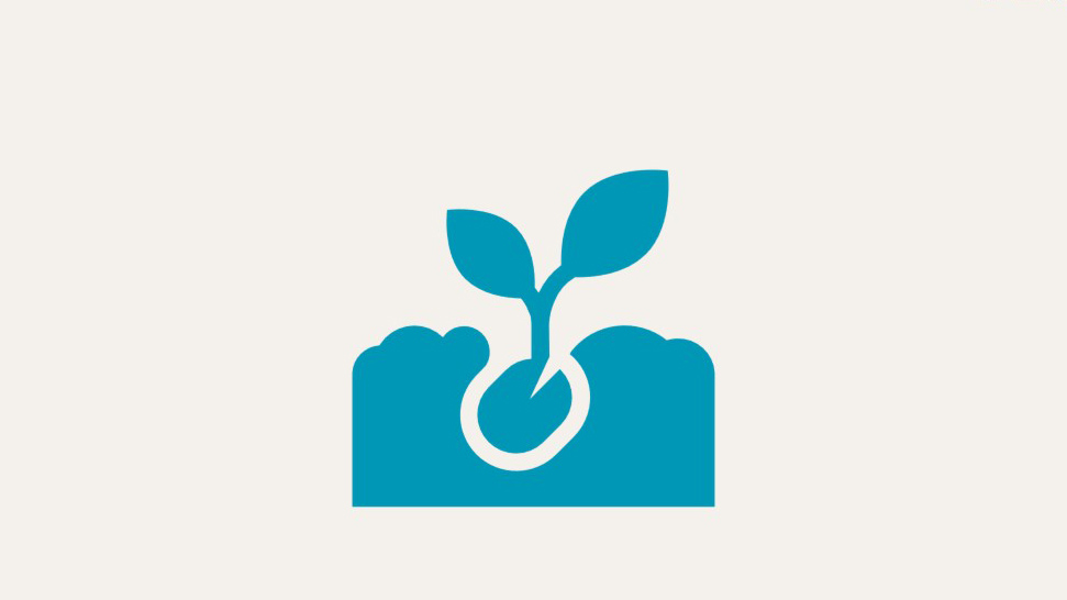 Icon: seed in soil